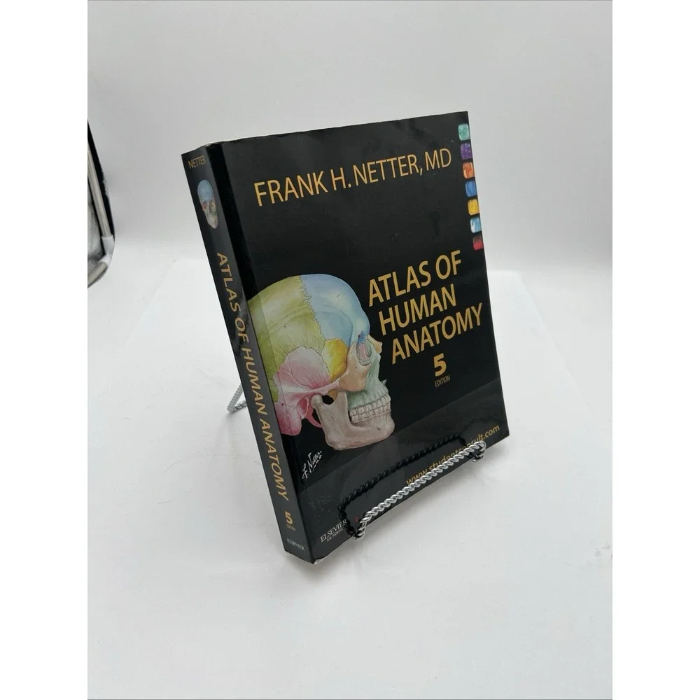 Frank H Netter Atlas of Human Anatomy 5th Ed Paperback 2010 Clean Unmarked
